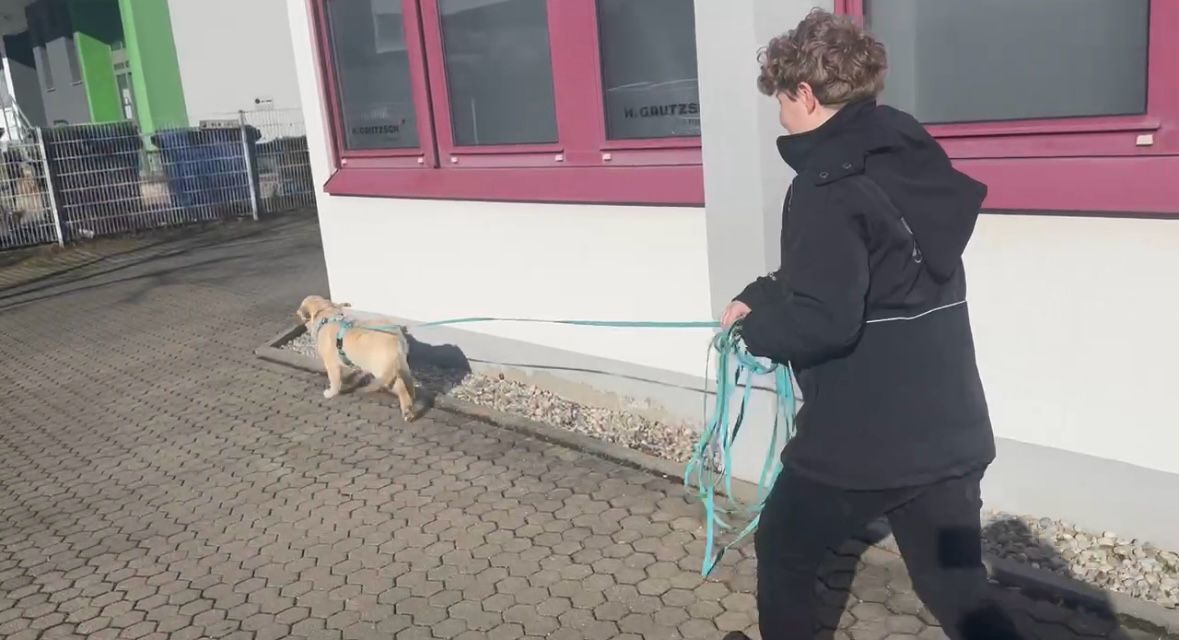 Februar